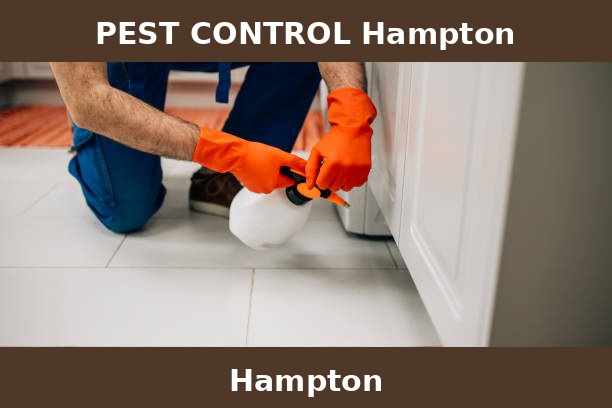 PEST CONTROL Hampton